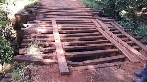 Resultado de imagem para mata-burros