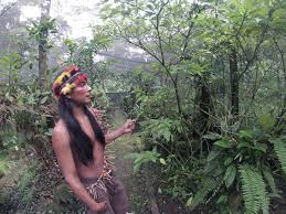 Resultado de imagen para CULTURA PUYO PASTAZA