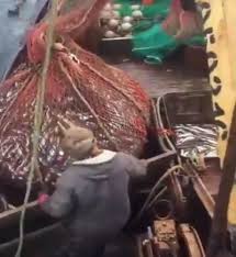 Resultado de imagen de cuentos de pescadores