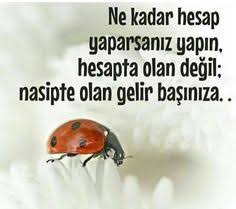 ikiz kardeşle ile ilgili sözler ile ilgili görsel sonucu