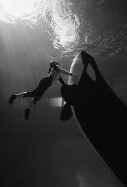 Recipient of Choice's Award for Outstanding Academic Title of 2009