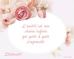 Image search result for 