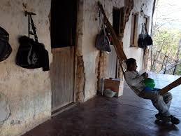 Resultado de imagem para REDE NO ALPENDRE