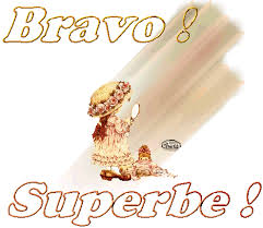 Résultat de recherche d'images pour "gifs bravo"