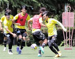 News source: 河北新報オンライン