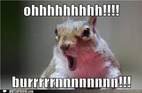 https://encrypted-tbn2.gstatic.com/images?q=tbn:ANd9GcTKGuaiFAD-dp4w8YGxAcW8V5IG9woaor0e19HTUTsY5x7RWgnEBQ