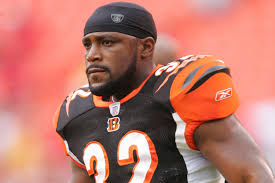 Remembering Rudi Johnson Bengals Legend Gone Too Soon