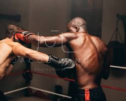 Image of two boxers representing competition between altcoins