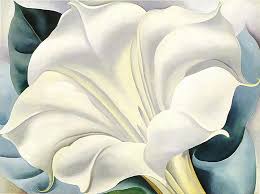 Resultado de imagen de Flores georgia o'keeffe