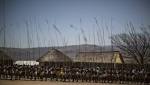 King Zwelithini's reed dance venue