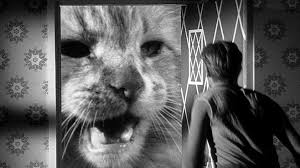 Image result for incredible shrinking man