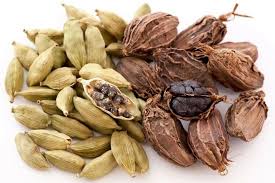 Image result for CARDAMOM