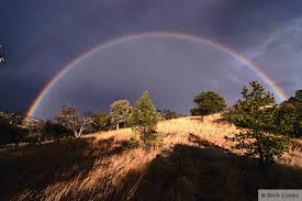 Image result for texas mountains