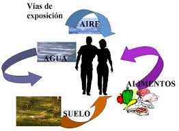 Resultado de imagen de exposicion ambiental