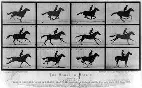 Image result for eadweard muybridge