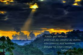images?q=tbn:ANd9GcTKyG5S52KK_DJDCkahx2c