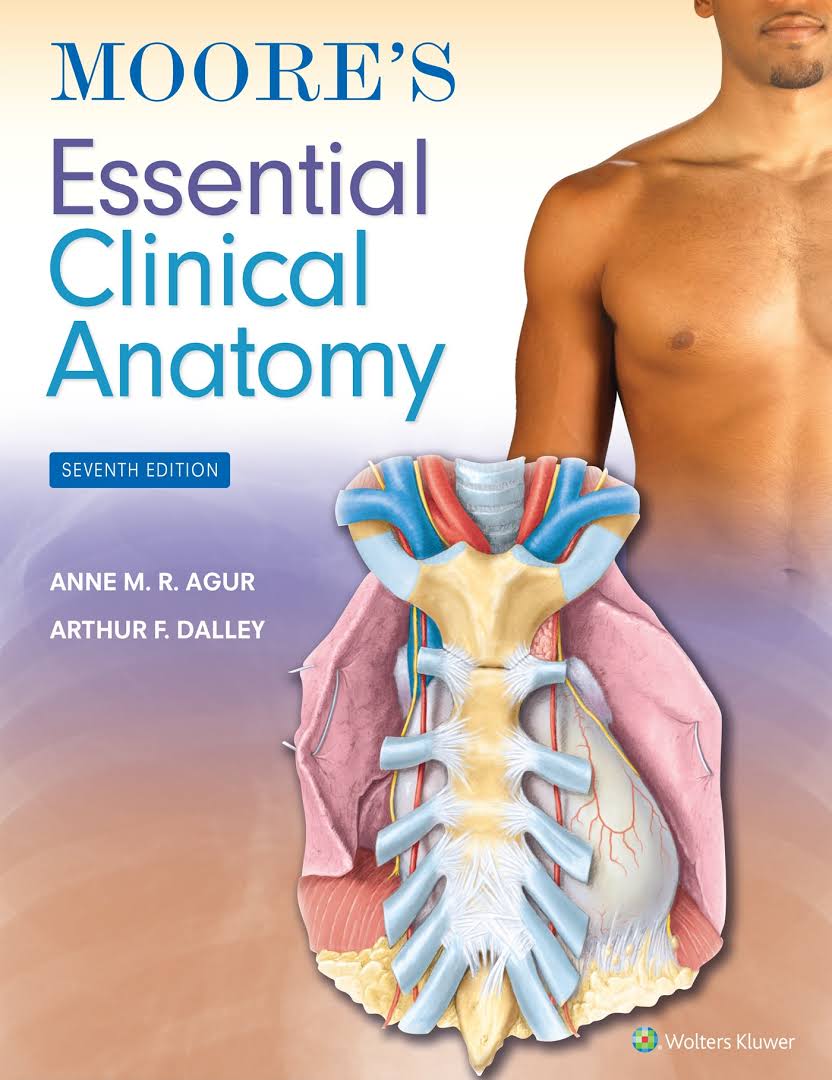 ปกหนังสือ Moore's essential clinical anatomy