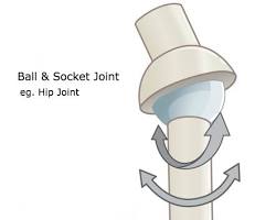 Image of Ballandsocket joint