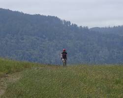 Image of Biking in Point Reyes National Seashore