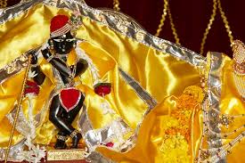 Image result for radha ramana