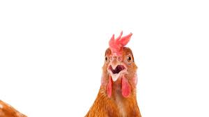 5/15/26 Blog: Tricky Vic Chickens Out, And Rep Scott Bottoms Joins