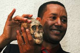 Zeresenay Alemseged. Bron: www.gauteng.net - australopithecus-afarensis_(leider_zeresaney_salem)