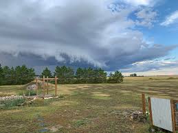 Severe thunderstorm watch issued for Mountain View County