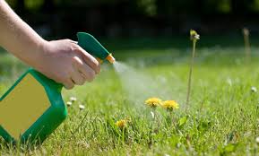 Image result for weed pest control