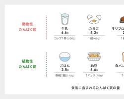 タンパク質を含む食品の画像