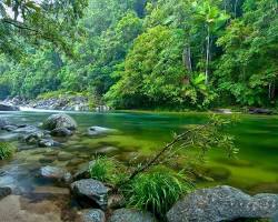 Image of Daintree Rainforest, Australia