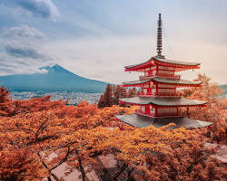 The Best Time to Visit Kyoto for Cherry Blossoms