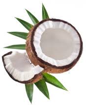 Image result for coconut oil