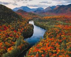 Image of Fall Foliage in New York