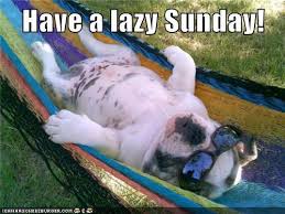 Lazy Sunday Funny Quotes. QuotesGram via Relatably.com