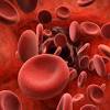 Story image for Cord Blood Hematopoietic Stem Cell Expansion from Drug Target Review