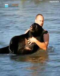 When a 400-pound black bear was caught in the ocean, one man did the unthinkable 😱 Diving into the water, he risked being attacked to save the animal and bring it back