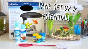 Image result for betta fish tank