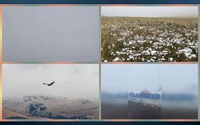 rudaw.net - News update