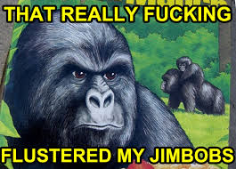 [Image: images?q=tbn:ANd9GcTLowx_hePOeSq97glUL2H...C_RnPX4Jmw]