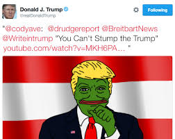 「trump pepe」の画像検索結果
