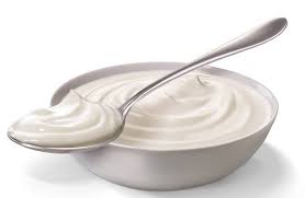 Hasil gambar untuk yoghurt