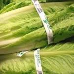  CDC says romaine lettuce is safe to eat again