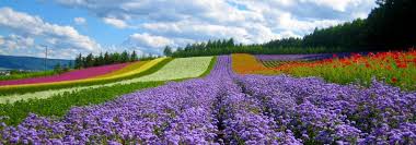 Image result for 14-Day Best of Vietnam & Cambodia Tour