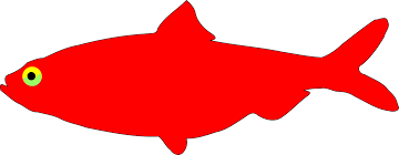 Image result for Red Herring