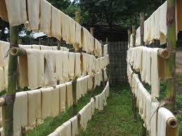 Image result for rubber sheet wallpaper