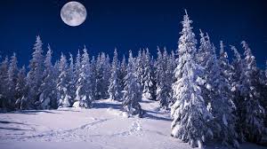 vollmond februar astrologie