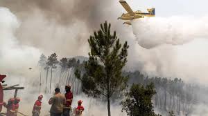 Fogo queimou entre 500 a 600 hectares nos concelhos de Alijó e Murça