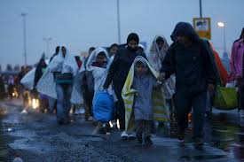 Image result for Migrant crisis