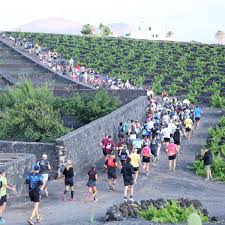Trend Google: lanzarote