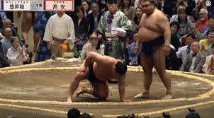 「控えた方がいい」高安に苦言 元横綱・若乃花、豊昇龍に“まさか”のアクシデント発生で見解